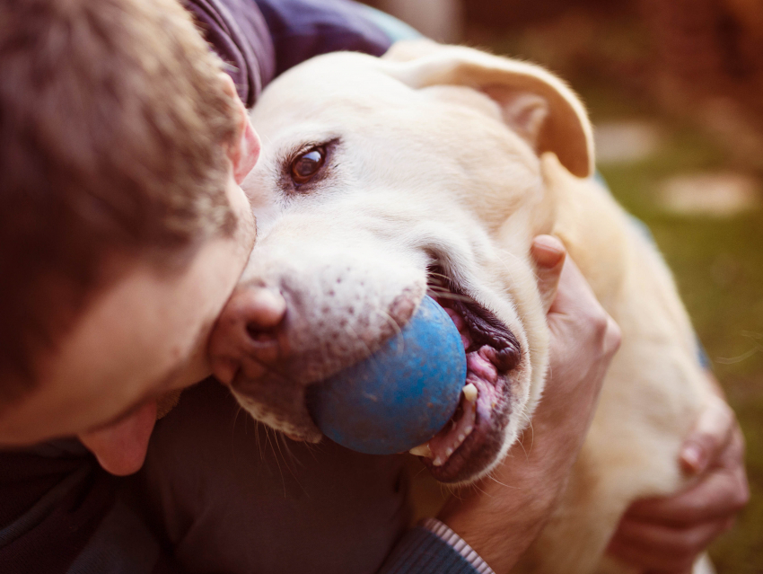 Emmène ton chien, le site communautaire qui veut du bien à vos animaux !